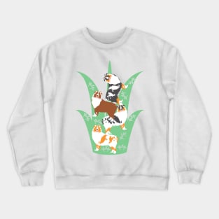 Australian Shepherd on the Lawn Crewneck Sweatshirt